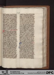 Blatt 229r