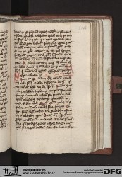 Blatt 246r