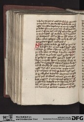 Blatt 246v