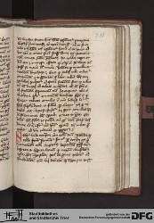 Blatt 251r