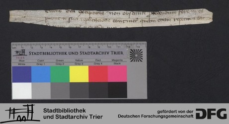 Herausgelöstes Fragment XXIr