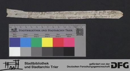 Herausgelöstes Fragment XXIXr