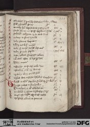 Blatt 226r