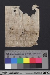 Herausgelöstes Fragment VIIIv