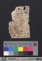 Herausgelöstes Fragment XIr