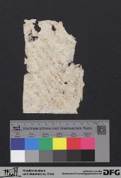 Herausgelöstes Fragment XIv