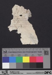 Herausgelöstes Fragment XVIr