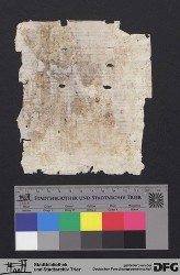 Herausgelöstes Fragment XXIVv