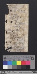 Herausgelöstes Fragment XXIXv