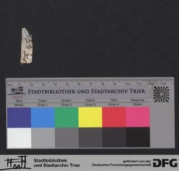 Herausgelöstes Fragment XXXIXr