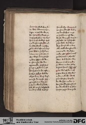 Blatt 116v