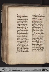 Blatt 161v