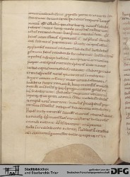 Blatt 164v