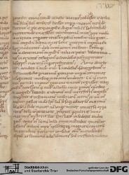 Blatt 224r