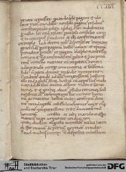 Blatt 229r