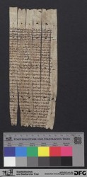 Herausgetrenntes Fragment