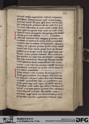 Blatt 17r