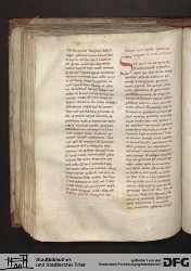 Blatt 135v