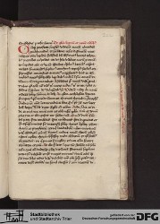 Blatt 223r