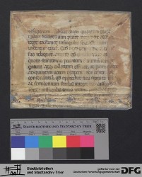 Herausgelöstes Fragment Iv