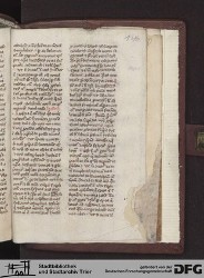 Blatt 145r