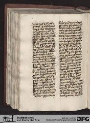 Blatt 166v