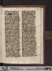 Blatt 196r