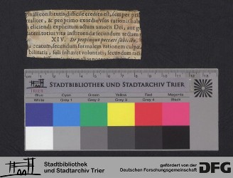 Herausgetrenntes Fragment