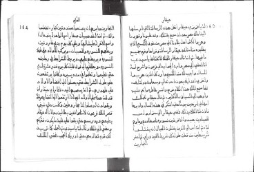 Cod. ARABE 3637-013