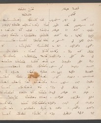 Cod. Sach. 339 Images-005