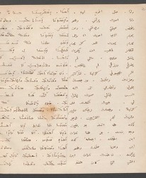 Cod. Sach. 339 Images-007