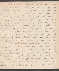 Cod. Sach. 339 Images-011