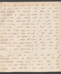 Cod. Sach. 339 Images-013