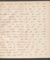 Cod. Sach. 339 Images-015