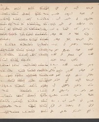 Cod. Sach. 339 Images-021
