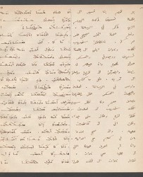 Cod. Sach. 339 Images-025