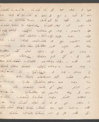 Cod. Sach. 339 Images-027