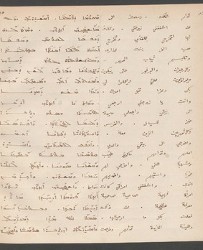 Cod. Sach. 339 Images-033