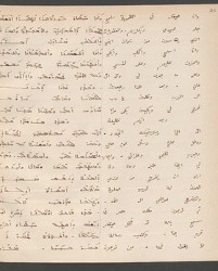 Cod. Sach. 339 Images-043