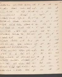 Cod. Sach. 339 Images-045