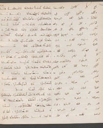 Cod. Sach. 339 Images-047