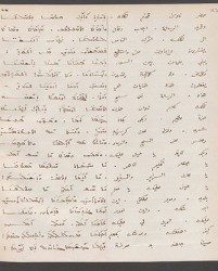 Cod. Sach. 339 Images-049