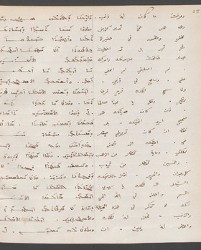 Cod. Sach. 339 Images-053