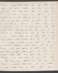 Cod. Sach. 339 Images-057