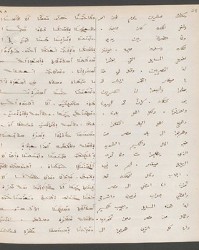 Cod. Sach. 339 Images-059