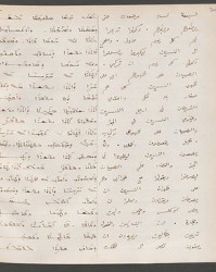 Cod. Sach. 339 Images-063