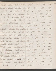 Cod. Sach. 339 Images-065