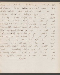 Cod. Sach. 339 Images-067