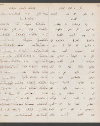 Cod. Sach. 339 Images-069