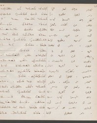Cod. Sach. 339 Images-073